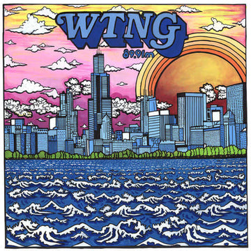 Various - WTNG 89.9 FM: Solid Bronze Vinyl Vinly Record