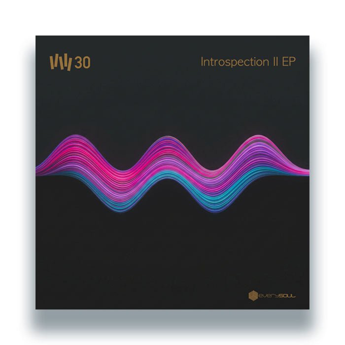 Vince Watson - Introspection II EP Vinyl