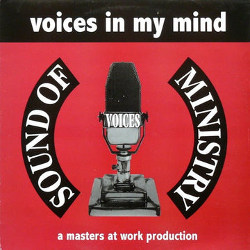 Voices - Voices In My Mind Vinyl Vinly Record