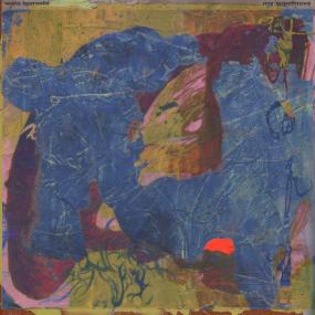 Wata Igarashi - My Supernova Vinyl - Vinyl Record