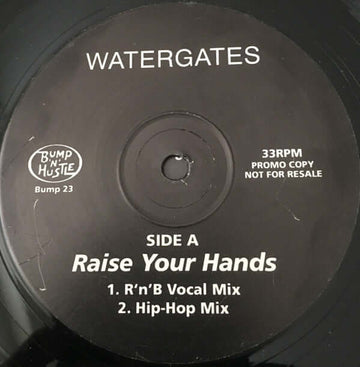 Watergates - Raise Your Hands Vinyl Vinly Record