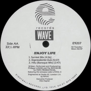 Wave - Enjoy Life Vinyl Vinly Record