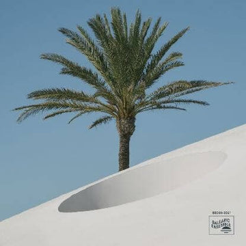 Max Essa - Painting Of The Day EP (Vinyl) - Max Essa - Painting Of The Day EP (Vinyl) - Brand new Barcelona i mprint Balearic Ensemble hit the ground running with their premier plastic disc drop, BE001. We’re over (and under, and around) the moon to prese Vinly Record