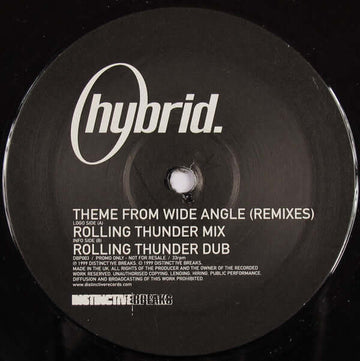 Hybrid - Theme From Wide Angle (Remixes) - Hybrid : Theme From Wide Angle (Remixes) (12