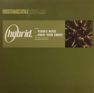 Hybrid - Visible Noise / Know Your Enemy - Hybrid : Visible Noise / Know Your Enemy (12