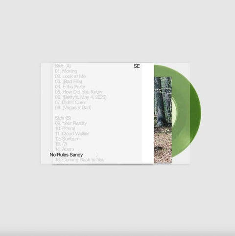 Sylvan Esso - No Rules Sandy - Artists Sylvan Esso Genre Indie Dance, Electronica Release Date 20 Jan 2023 Cat No. 7246324 Format 12" Green Vinyl - Concord - Vinyl Record