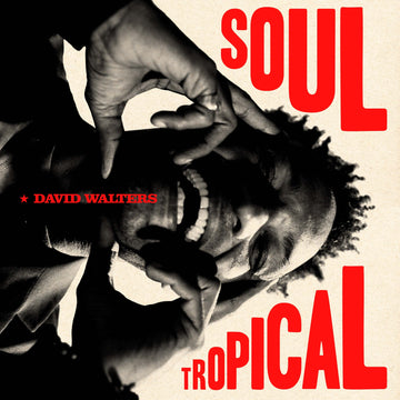 David Walters - Soul Tropical - Artists David Walters Genre Afro Soul, Modern Soul Release Date 3 Mar 2023 Cat No. HS238VL Format 2 x 12
