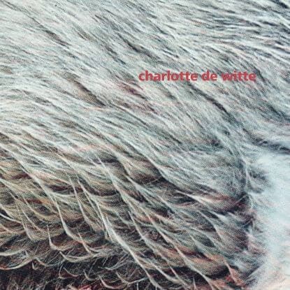 Charlotte De Witte - Vision EP (Kangding Ray Remix) - Charlotte De Witte - Vision EP (Kangding Ray Remix) (Vinyl) - An abundant EP of Charlotte de Witte, presenting four carefully crafted tunes, both for peak time and beyond. Vinyl, 12", EP. Charlotte De - Vinyl Record