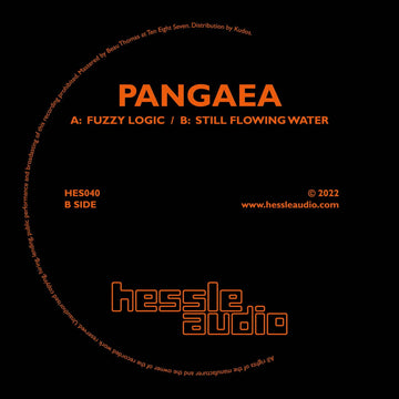 Pangaea - Fuzzy Logic - Artists Pangaea Genre Bass, Breakbeat Release Date 21 Oct 2022 Cat No. HES040 Format 12