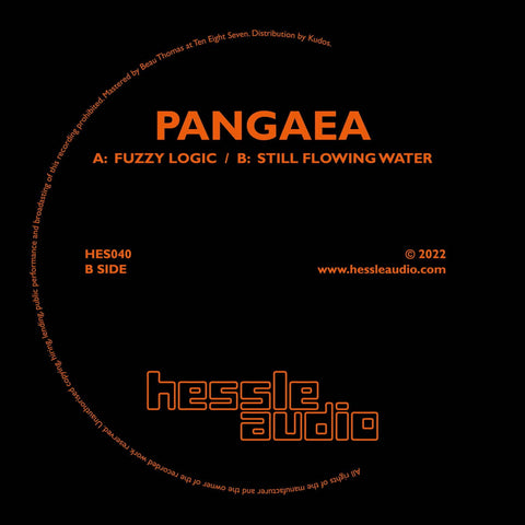 Pangaea - Fuzzy Logic - Artists Pangaea Genre Bass, Breakbeat Release Date 21 Oct 2022 Cat No. HES040 Format 12" Vinyl - Hessle Audio - Hessle Audio - Hessle Audio - Hessle Audio - Vinyl Record