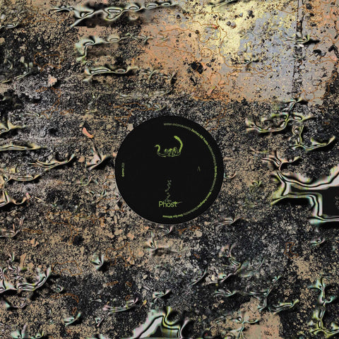 Phost - Swallowed by a Snake (Vinyl) - Phost - Swallowed by a Snake (Vinyl) - Vinyl, 12", EP - Garmo - Garmo - Garmo - Garmo - Vinyl Record