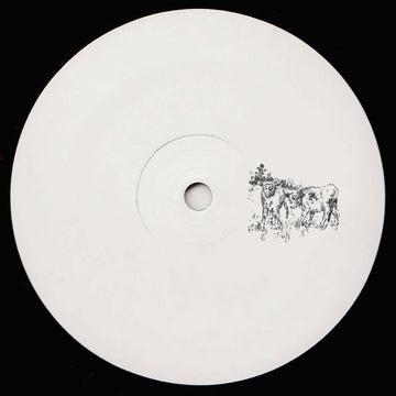 Formally Unknown - Fields - Artists Formally Unknown Genre Bass, Breakbeat Release Date Cat No. PRIVATEPERSONS012 Format 12