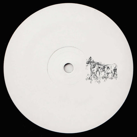 Formally Unknown - Fields - Artists Formally Unknown Genre Bass, Breakbeat Release Date Cat No. PRIVATEPERSONS012 Format 12" Vinyl - Private Persons - Vinyl Record