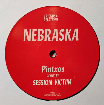 Nebraska - Remixes - - Friends & Relations - Friends & Relations - Friends & Relations - Friends & Relations Vinly Record