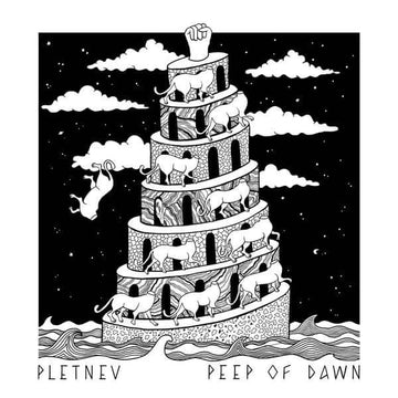 Pletnev - Peep Of Dawn - Hard Fist comes back stronger than ever with a sixth release, this time from Pletnev with a remix from Sascha Funke... - Hard Fist Vinly Record