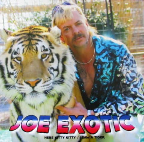 Joe Exotic ‎- Here Kitty Kitty / I Saw A Tiger - Pink Vinyl, 12", EP, Unofficial Release - Vinyl Record