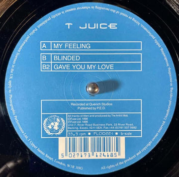 T Juice - 'My Feeling' Vinyl - Artists T Juice Genre UK Garage Release Date 1 Jan 1998 Cat No. FLC1022-1 Format 12