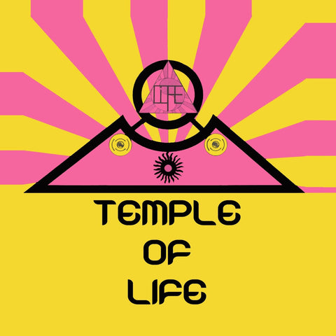 Temple Of Life - EDP Artists Temple Of Life Genre Breakbeat, Hardcore Release Date Cat No. T LIFE 001 Format 12" Vinyl - Vinyl Record