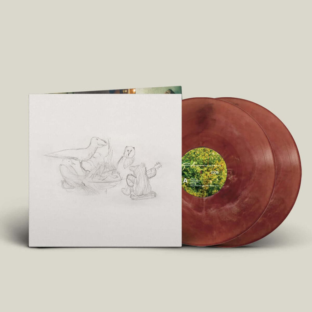 Big Thief - Dragon New Warm Mountain I Believe In You Vinyl