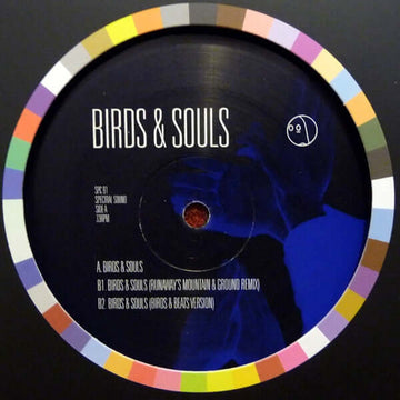 Birds & Souls - Birds & Souls Vinyl Vinly Record