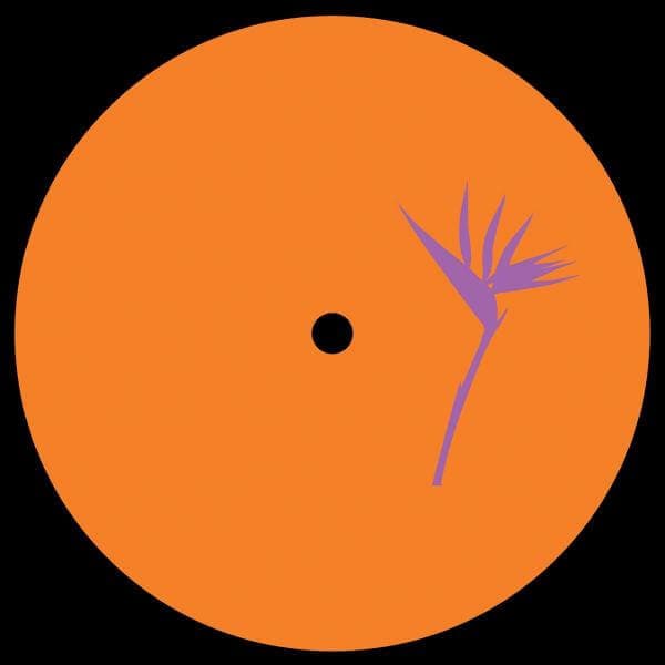 Bisharat - 'Perspective' Vinyl Vinyl