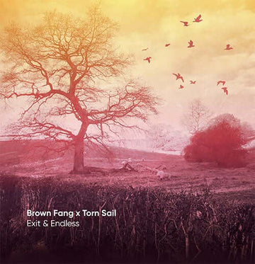 Brown Fang x Torn Sail - Exit & Endless Vinyl Vinly Record