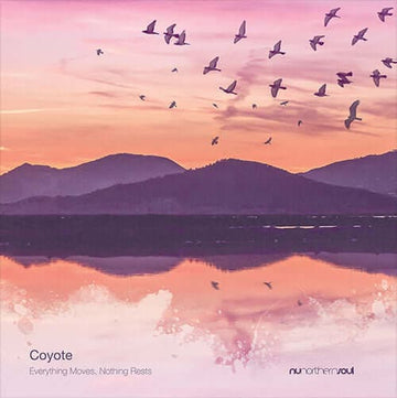 Coyote - 'Everything Moves, Nothing Rests' Vinyl Vinyl Vinly Record