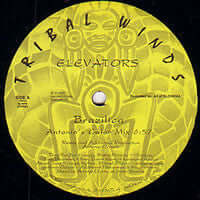 Elevators - Brazilica Vinyl Vinly Record
