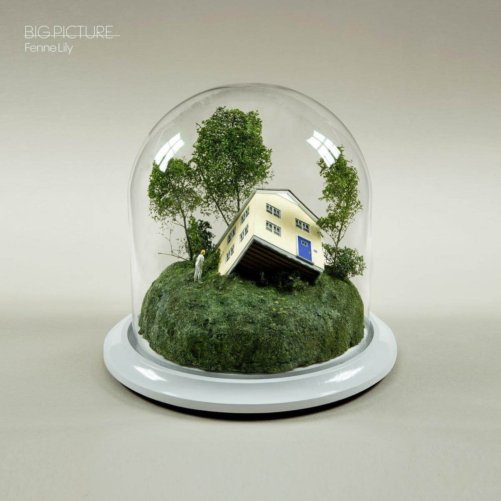 Fenne Lily - Big Picture Vinyl