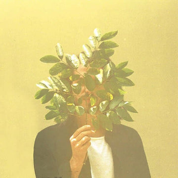 FKJ - French Kiwi Juice Vinyl Vinly Record