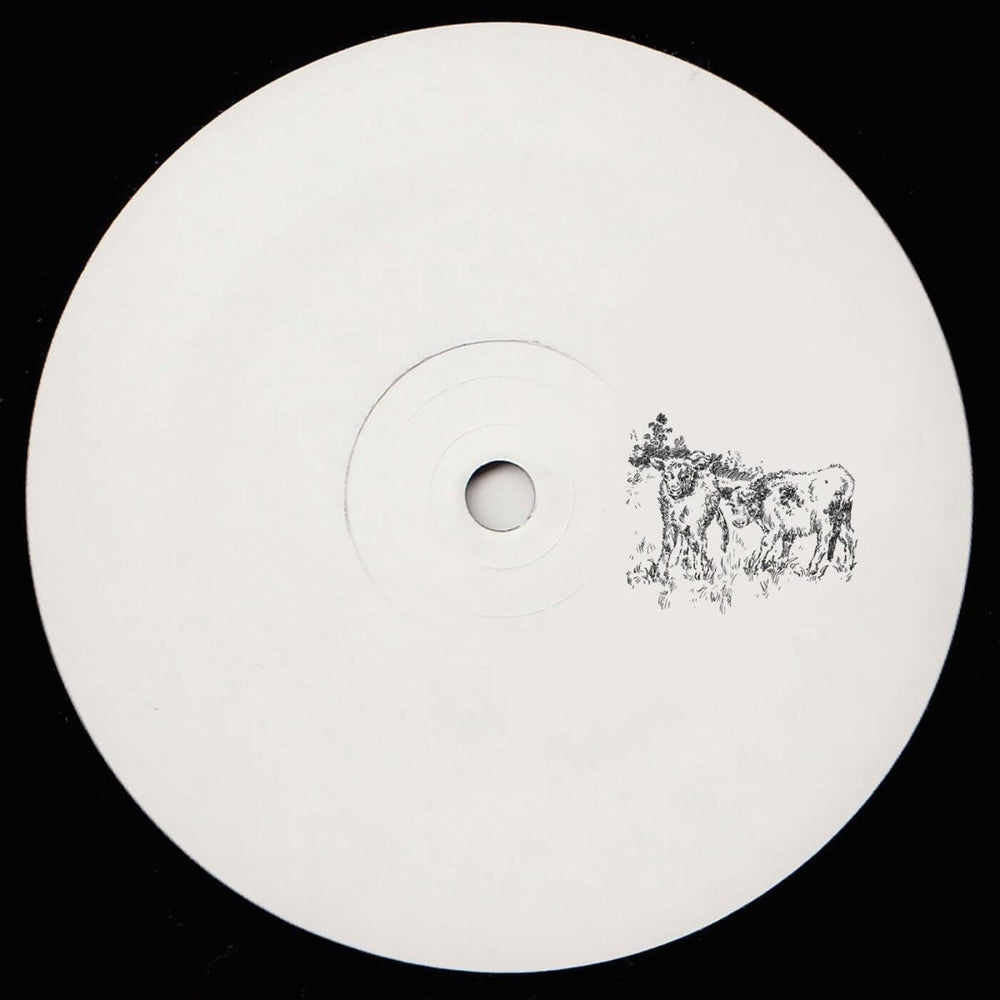 Formally Unknown - 'Fields' Vinyl Vinyl
