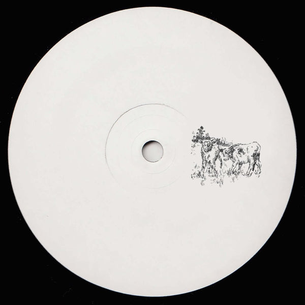 Formally Unknown - 'Fields' Vinyl Vinyl