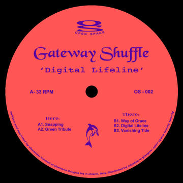 Gateway Shuffle - Digital Lifeline Vinyl Vinly Record