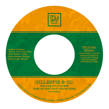 Gillespie & Co - Keep on Doin What You're Doin Vinyl Vinly Record
