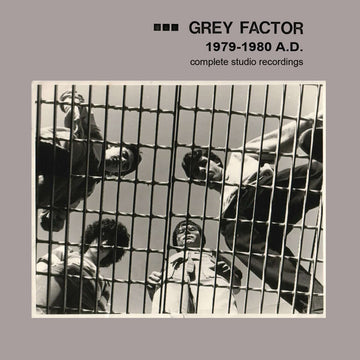 Grey Factor - 1979 - 1980 AD Vinyl Vinly Record