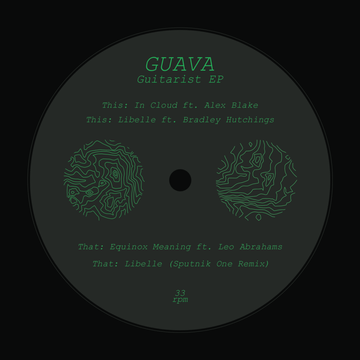 Guava - Guitarist Vinyl Vinly Record