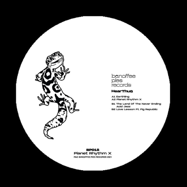 HearThuG - Planet Rhythm X Vinyl