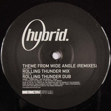 Hybrid - Theme From Wide Angle (Remixes) Vinyl Vinly Record
