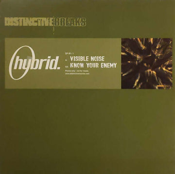 Hybrid - Visible Noise / Know Your Enemy Vinyl Vinly Record