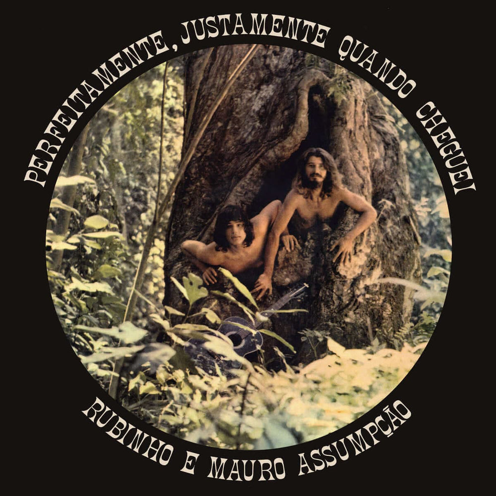 Rubinho E Mauro Assumpcao - Perfeitamente Justamente Quando Cheguei