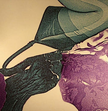 In Flagranti - Genital Blue Room Vinyl Vinly Record