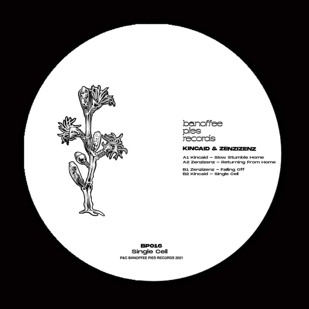 Kincaid & Zenzizenz - Single Cell Vinyl