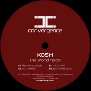 Kosh - The World Inside Vinyl Vinly Record