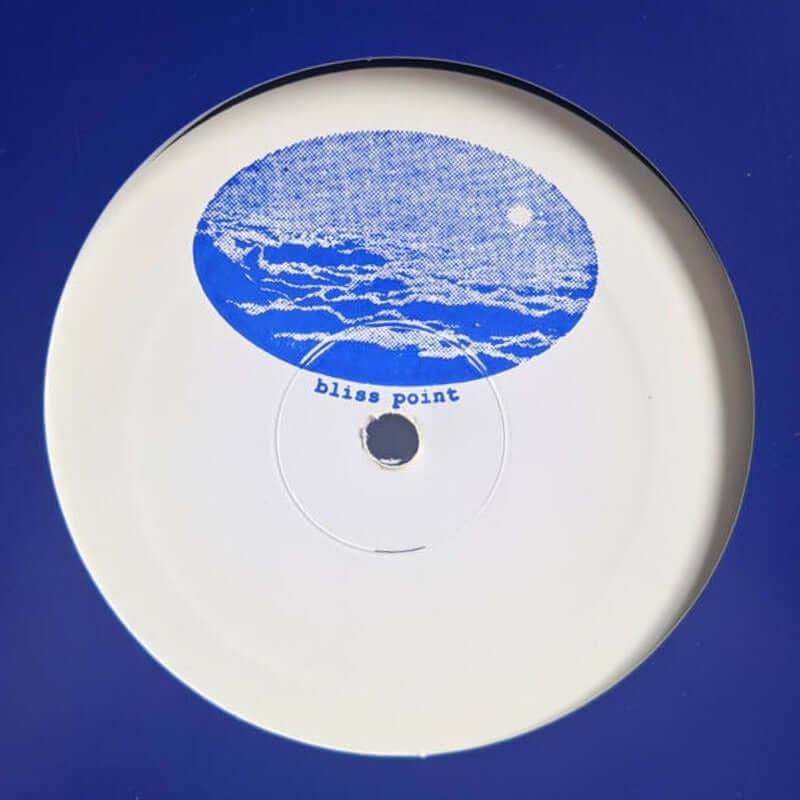 Max In The World - 'Radiant City' Vinyl Vinyl