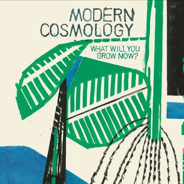 Modern Cosmology - What Will You Grow Now? Vinyl Vinly Record