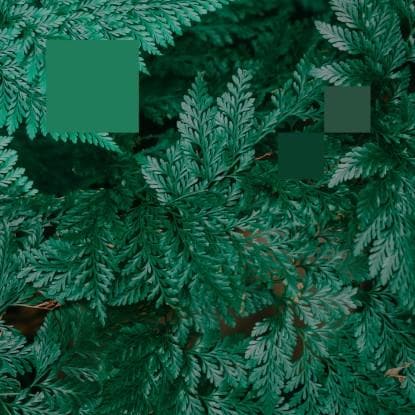 Nebraska - Metaphor To The Floor [Warehouse Find] Vinyl