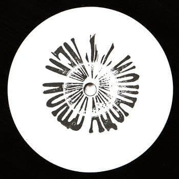 Newworldaquarium ‎– Trespassers [Warehouse Find] Vinyl Vinly Record