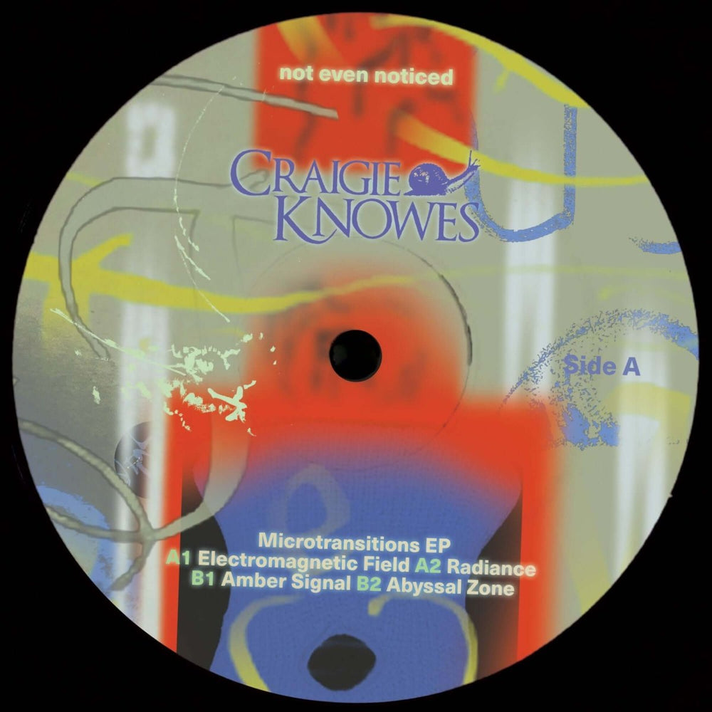 not even noticed - Microtransitions Vinyl