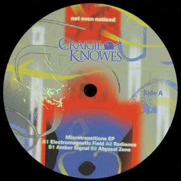 not even noticed - Microtransitions Vinyl Vinly Record