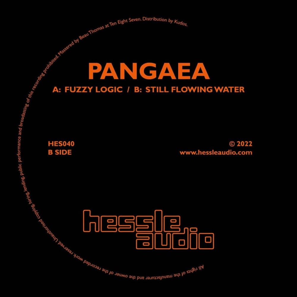 Pangaea - Fuzzy Logic Vinyl